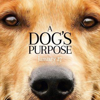 Poster of Universal Pictures' A Dog's Purpose (2017)