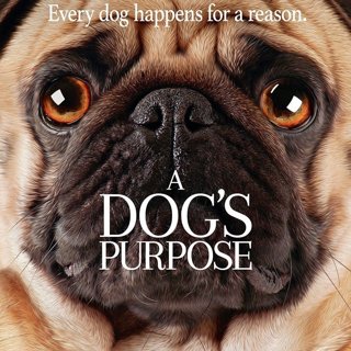 Poster of Universal Pictures' A Dog's Purpose (2017)