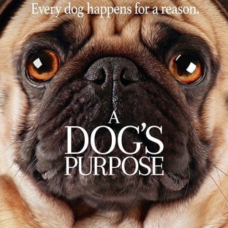 A Dog's Purpose Picture 2