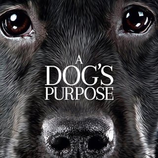 Poster of Universal Pictures' A Dog's Purpose (2017)