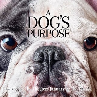 Poster of Universal Pictures' A Dog's Purpose (2017)