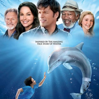 Dolphin Tale Picture 13