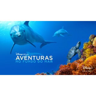 Dolphin Reef (2020)