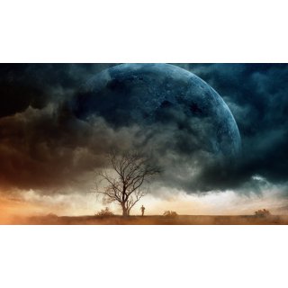 Don't Come Back from the Moon (2019)