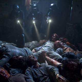 Doomsday Picture 8