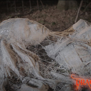 Argento's Dracula 3D Picture 2