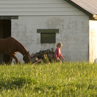 Dakota Fanning as Cale with Sonya (the horse) in Dreamer: Inspired by a True Story (2005)