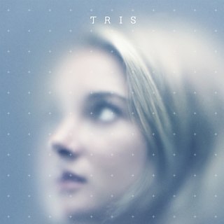 Divergent Series: Allegiant, The Picture 3
