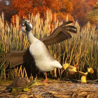 Duck Duck Goose Picture 5