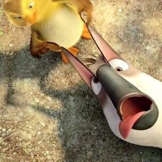 Duck Duck Goose Picture 6