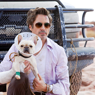 Robert Downey Jr. stars as Peter Highman in Warner Bros. Pictures' Due Date (2010)