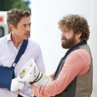 Robert Downey Jr. stars as Peter Highman and Zach Galifianakis stars as Ethan Tremblay in Warner Bros. Pictures' Due Date (2010)