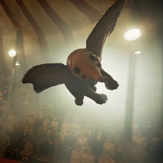 Dumbo Picture 28