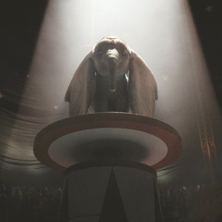 Dumbo Picture 23
