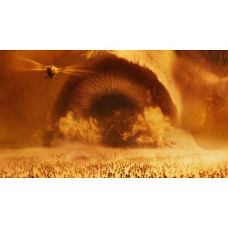 Dune: Part Two Picture 3