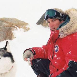 Eight Below Picture 2