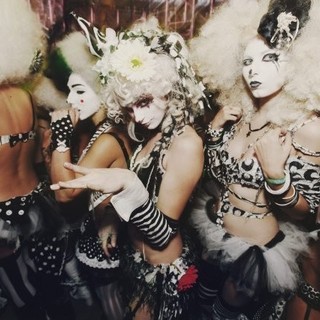 Electric Daisy Carnival Experience Picture 12