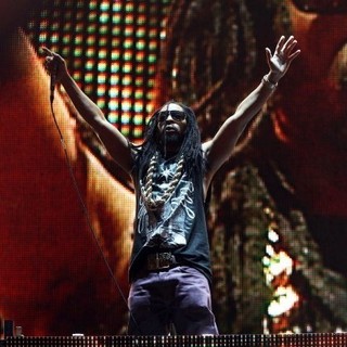 Electric Daisy Carnival Experience Picture 4