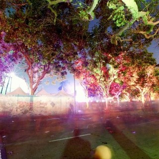 Electric Daisy Carnival Experience Picture 6