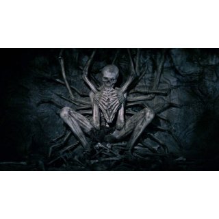 Empty Man, The Picture 6