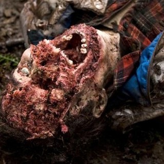 A scene from Vertical Entertainment's Into the Grizzly Maze (2015)