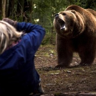 A scene from Vertical Entertainment's Into the Grizzly Maze (2015)