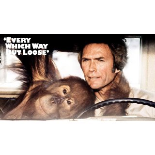 Every Which Way But Loose Picture 2