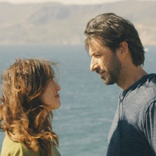 Everybody Loves Somebody Picture 4