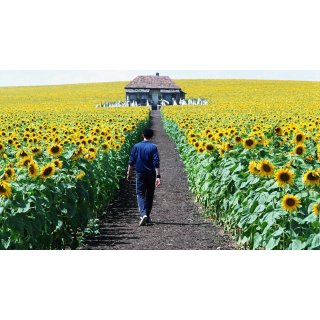 Everything Is Illuminated Picture 3