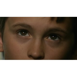 Evolution (2016)