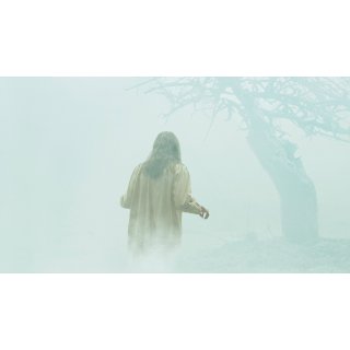Exorcism Of Emily Rose, The Picture 1