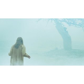 Exorcism Of Emily Rose, The Picture 2
