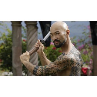 Falcon Rising (2014)