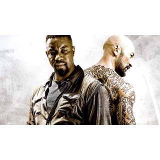 Falcon Rising (2014)