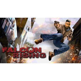 Falcon Rising (2014)