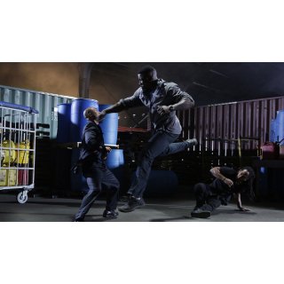 Falcon Rising (2014)