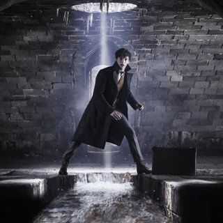 Eddie Redmayne stars as Newt Scamander in Warner Bros. Pictures' Fantastic Beasts: The Crimes of Grindelwald (2018)