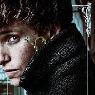 Fantastic Beasts: The Crimes Of Grindelwald Picture 16