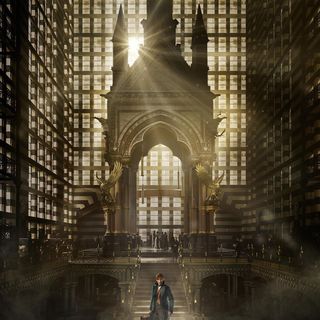 Fantastic Beasts And Where To Find Them Picture 3