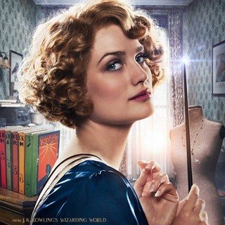 Fantastic Beasts And Where To Find Them Picture 15