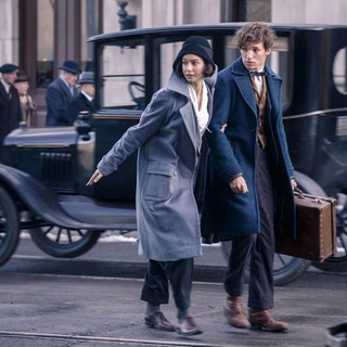 Fantastic Beasts And Where To Find Them Picture 1