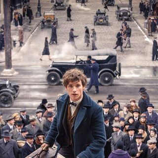 Fantastic Beasts And Where To Find Them Picture 4