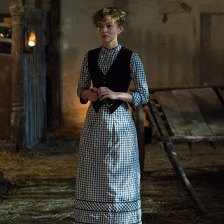 Far From The Madding Crowd Picture 15