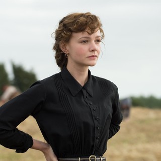 Far From The Madding Crowd Picture 16