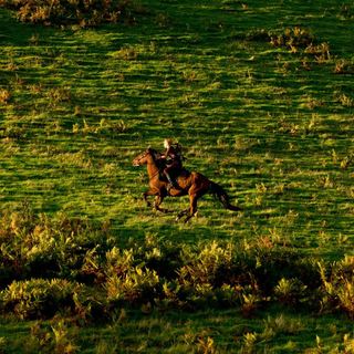 Far From The Madding Crowd Picture 23