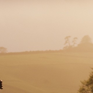 Far From The Madding Crowd Picture 25