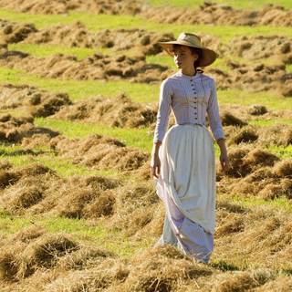 Far From The Madding Crowd Picture 1