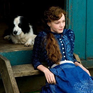 Far From The Madding Crowd Picture 5