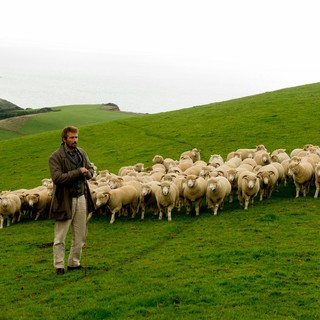Far From The Madding Crowd Picture 12