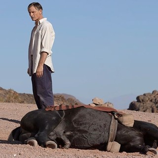 Far From Men Picture 2